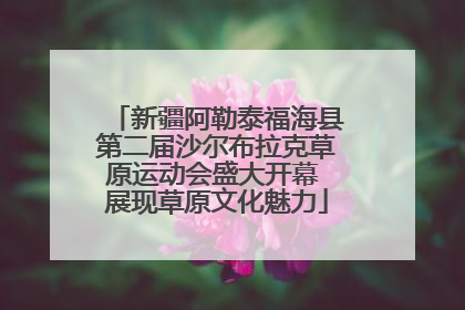 新疆阿勒泰福海县第二届沙尔布拉克草原运动会盛大开幕 展现草原文化魅力