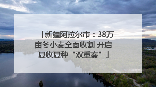 新疆阿拉尔市：38万亩冬小麦全面收割 开启夏收夏种“双重奏”