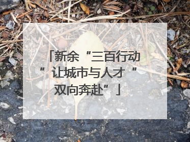 新余“三百行动”让城市与人才“双向奔赴”
