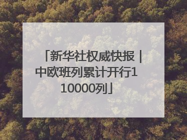 新华社权威快报｜中欧班列累计开行110000列