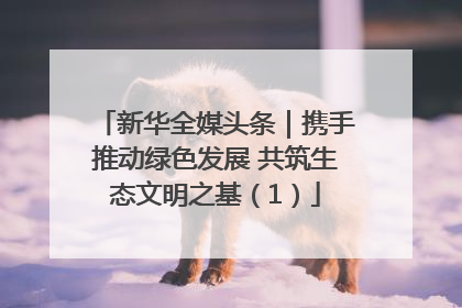新华全媒头条｜携手推动绿色发展 共筑生态文明之基（1）
