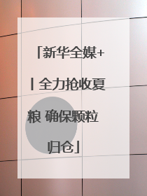 新华全媒+丨全力抢收夏粮 确保颗粒归仓