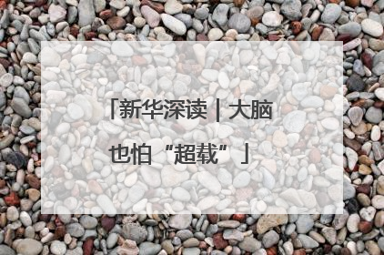 新华深读｜大脑也怕“超载”