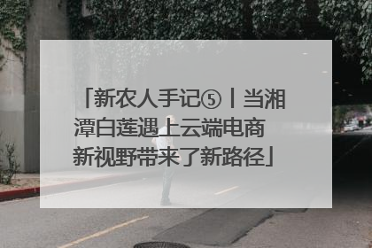 新农人手记⑤丨当湘潭白莲遇上云端电商 新视野带来了新路径