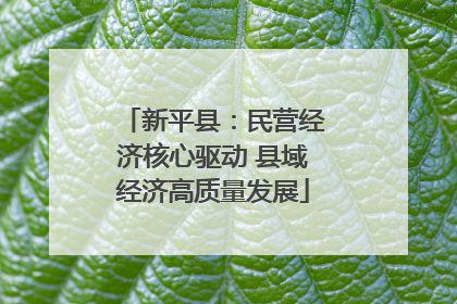 新平县：民营经济核心驱动 县域经济高质量发展