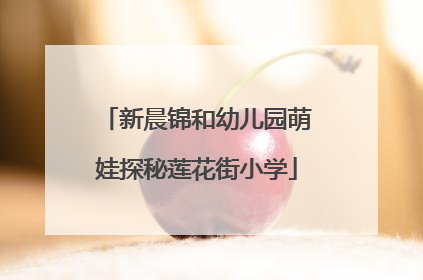 新晨锦和幼儿园萌娃探秘莲花街小学