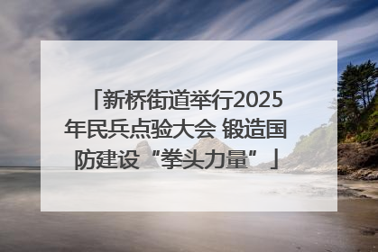 新桥街道举行2025年民兵点验大会 锻造国防建设“拳头力量”