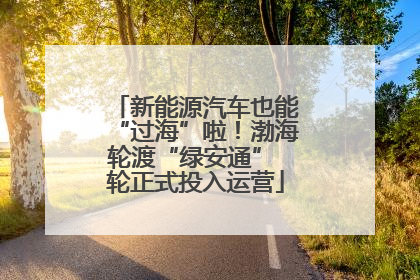 新能源汽车也能“过海”啦！渤海轮渡“绿安通” 轮正式投入运营