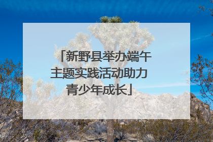 新野县举办端午主题实践活动助力青少年成长