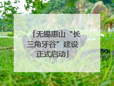 无锡惠山“长三角牙谷”建设正式启动