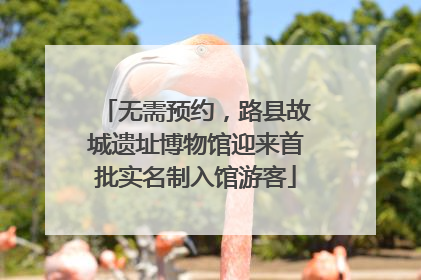 无需预约，路县故城遗址博物馆迎来首批实名制入馆游客
