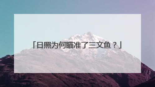 日照为何瞄准了三文鱼？
