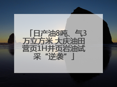 日产油8吨、气3万立方米 大庆油田营页1H井页岩油试采“逆袭”