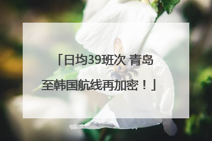 日均39班次 青岛至韩国航线再加密！