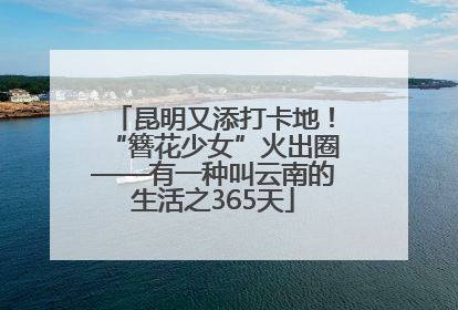 昆明又添打卡地！“簪花少女”火出圈——有一种叫云南的生活之365天