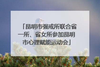 昆明市强戒所联合省一所、省女所参加昆明市心理赋能运动会