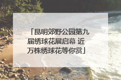 昆明郊野公园第九届绣球花展启幕 近万株绣球花等你赏