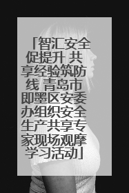 智汇安全促提升 共享经验筑防线 青岛市即墨区安委办组织安全生产共享专家现场观摩学习活动