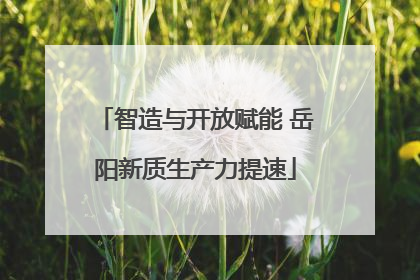 智造与开放赋能 岳阳新质生产力提速
