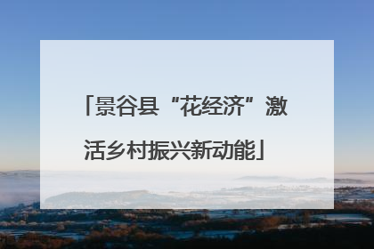 景谷县“花经济”激活乡村振兴新动能