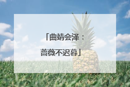 曲靖会泽：蔷薇不迟暮