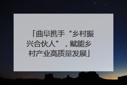 曲阜携手“乡村振兴合伙人”，赋能乡村产业高质量发展