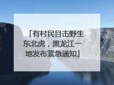 有村民目击野生东北虎，黑龙江一地发布紧急通知
