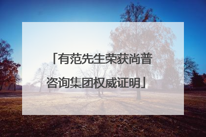 有范先生荣获尚普咨询集团权威证明