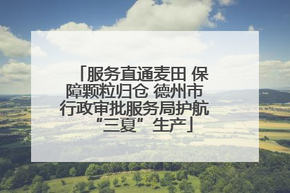 服务直通麦田 保障颗粒归仓 德州市行政审批服务局护航“三夏”生产