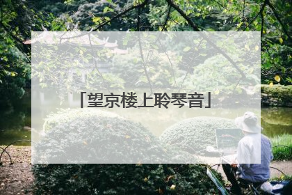 望京楼上聆琴音