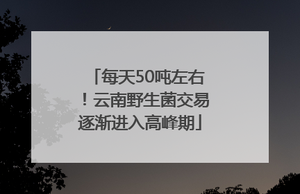 每天50吨左右！云南野生菌交易逐渐进入高峰期