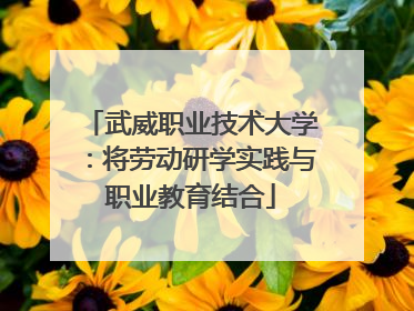 武威职业技术大学：将劳动研学实践与职业教育结合