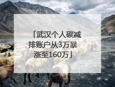 武汉个人碳减排账户从3万暴涨至160万