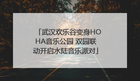 武汉欢乐谷变身HOHA音乐公园 双园联动开启水陆音乐派对