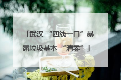 武汉 “四线一口”暴露垃圾基本 “清零”