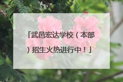 武邑宏达学校（本部）招生火热进行中！