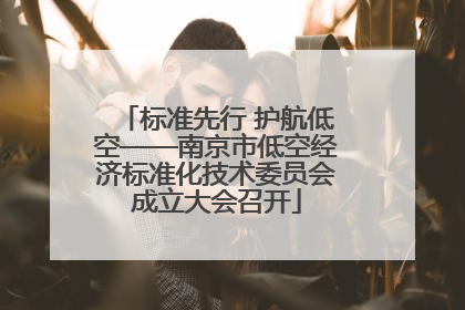 标准先行 护航低空——南京市低空经济标准化技术委员会成立大会召开