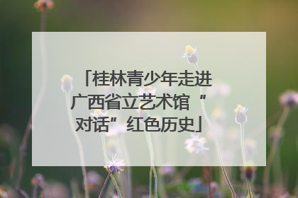 桂林青少年走进广西省立艺术馆“对话”红色历史
