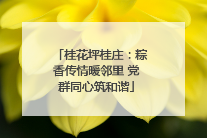桂花坪桂庄：粽香传情暖邻里 党群同心筑和谐