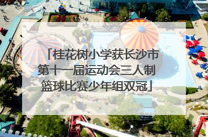 桂花树小学获长沙市第十一届运动会三人制篮球比赛少年组双冠