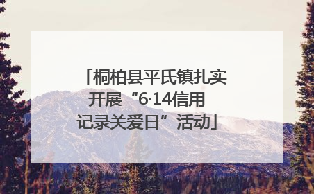 桐柏县平氏镇扎实开展“6·14信用记录关爱日”活动
