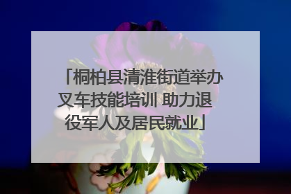 桐柏县清淮街道举办叉车技能培训 助力退役军人及居民就业