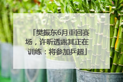 樊振东6月重回赛场，许昕透露其正在训练：将参加乒超