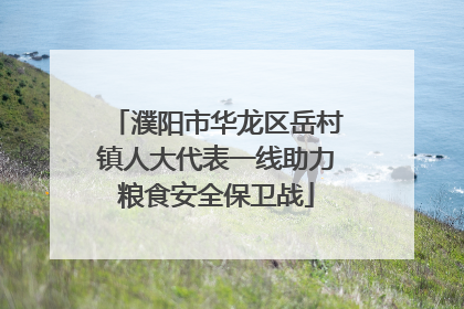 濮阳市华龙区岳村镇人大代表一线助力粮食安全保卫战
