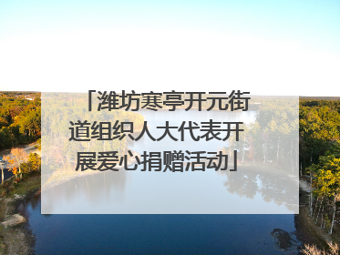 潍坊寒亭开元街道组织人大代表开展爱心捐赠活动
