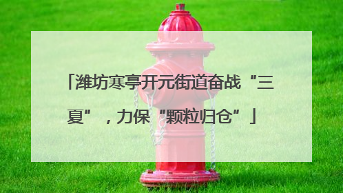 潍坊寒亭开元街道奋战“三夏”，力保“颗粒归仓”