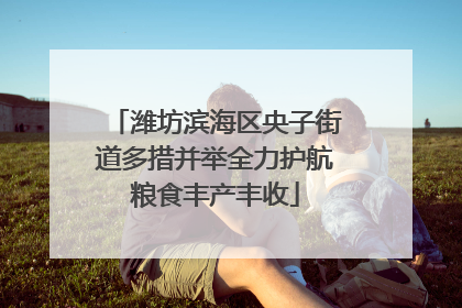 潍坊滨海区央子街道多措并举全力护航粮食丰产丰收