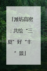 潍坊高密：共绘“三夏”好“丰”景