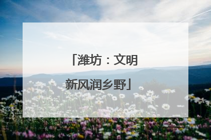 潍坊：文明新风润乡野
