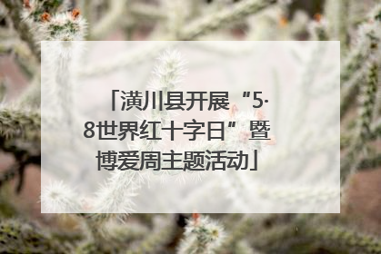 潢川县开展“5·8世界红十字日”暨博爱周主题活动